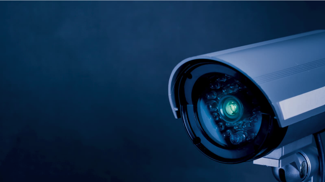 Cámara de seguridad ZIP-CAM